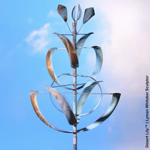 Animated GIF of a desert lily wind sculpture by Lyman Whitaker.