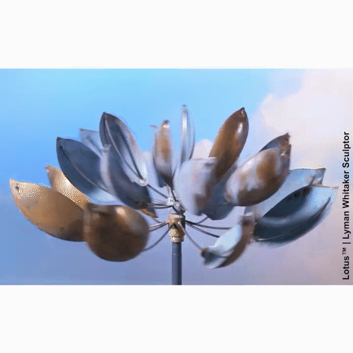 Lotus Wind Sculpture in motion.