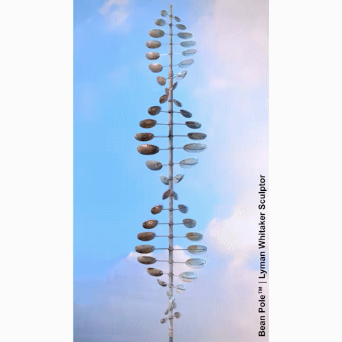Animated GIF of a bean pole wind sculpture by Lyman Whitaker.