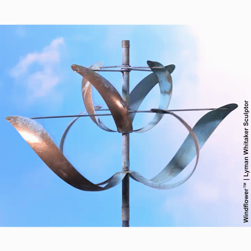 Windflower Wind Sculpture by Lyman Whitaker in motion.