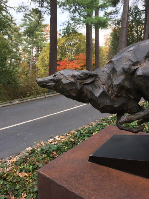 Limited edition bronze fox sculpture by Roger Martin.