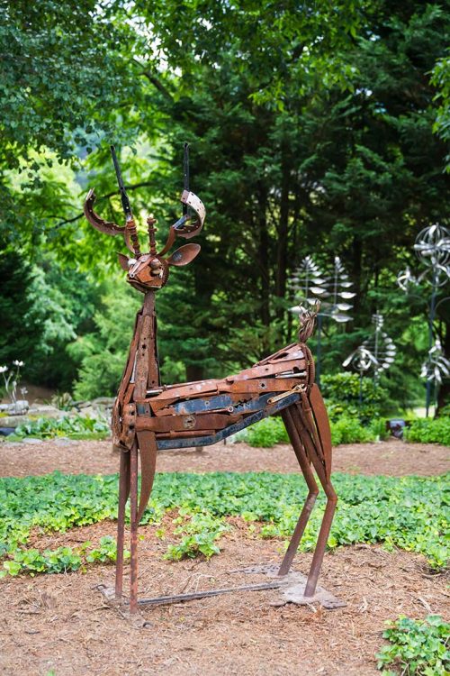 Sarah's Deer - Image 5