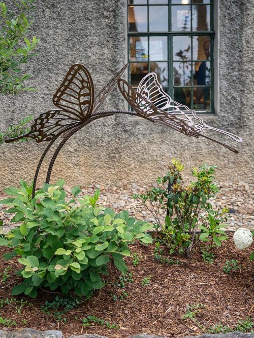 Todd Frahm's Butterfly Kiss captures two butterflies in a delicate moment of connection, celebrating nature, affection, and companionship.